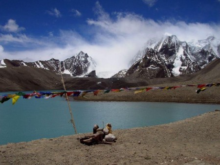 Gangtok Lachen Lachung 07 Nights 08 Days