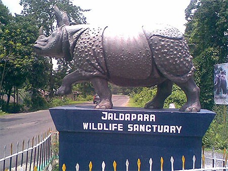 Jaldapara, Chilapata, Rajabhatkhawa / Buxa & Manas National Park 5N 6D
